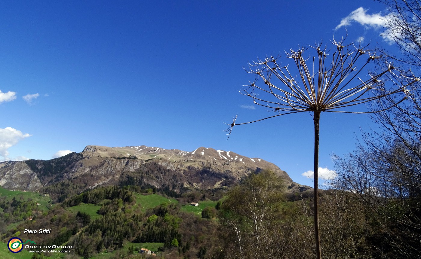 37 Primo balcone panoramico sul Monte Guglielmo.JPG -                                